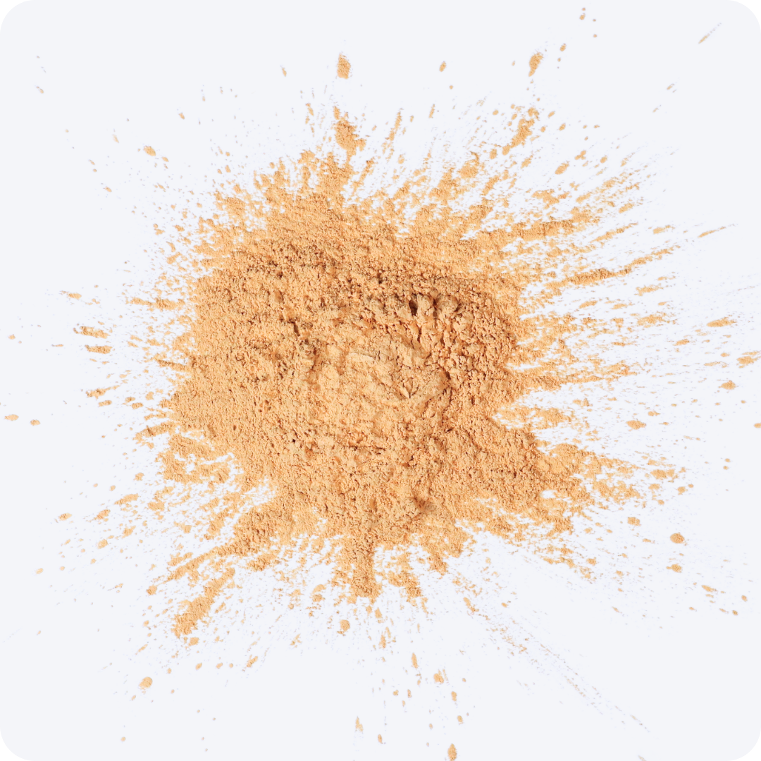 Honey Bee | Fairy Dust Loose Powder